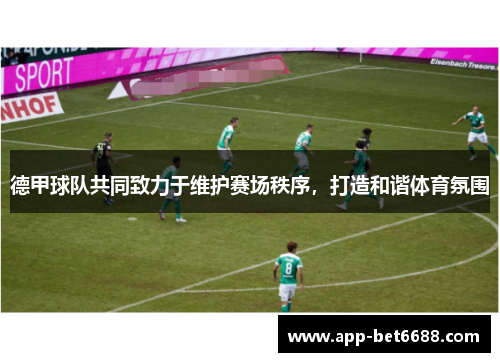 德甲球队共同致力于维护赛场秩序，打造和谐体育氛围