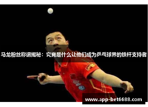 马龙粉丝称谓揭秘：究竟是什么让他们成为乒乓球界的铁杆支持者